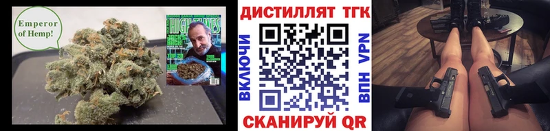 цена   Нестеровская  ТГК концентрат 